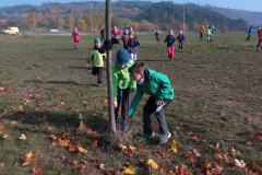 vestonicky.venous.2015_091