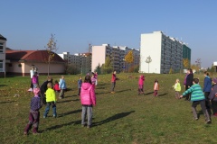 vestonicky.venous.2015_092